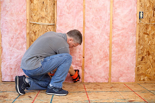 Best Geographic-Specific Insulation Services in Lawrencevle, IL